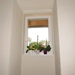 Apartment Csilla Hajdúszoboszló